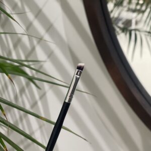 Kirstas Antakių teptukas